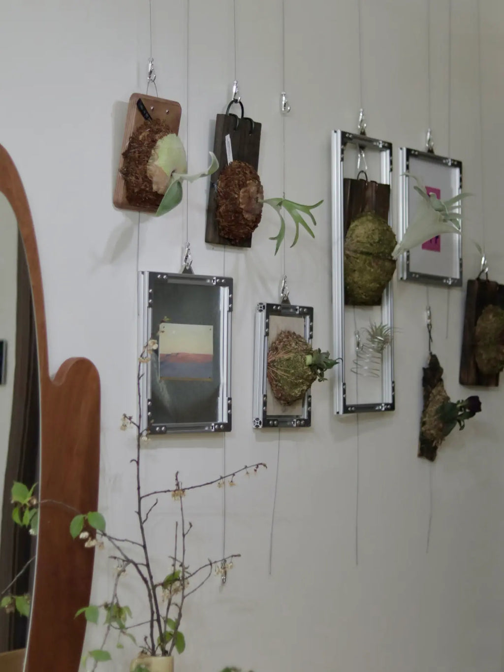 HushLume aluminum suspension poster frames hanging mid-air on steel wire and wall hooks, displaying prints and plants in a minimal interior
