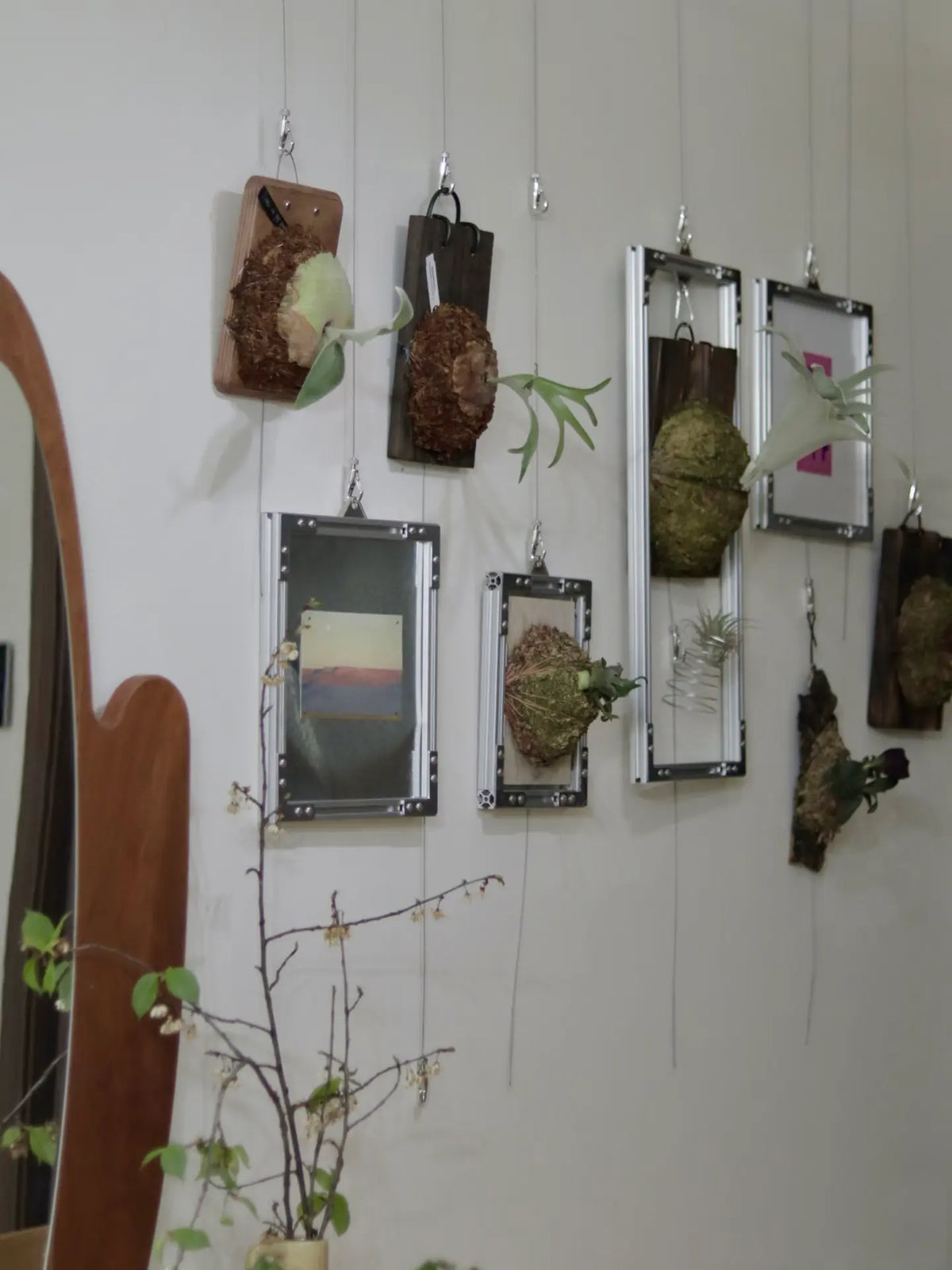 HushLume aluminum suspension poster frames hanging mid-air on steel wire and wall hooks, displaying prints and plants in a minimal interior